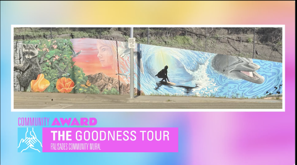 Community Award — The Goodness Tour